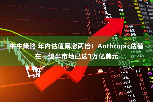 牛牛策略 年内估值暴涨两倍！Anthropic估值在一级半市场已达1万亿美元